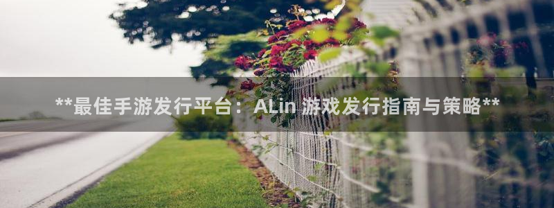 门徒平台服务站：**最佳手游发行平台：ALin 游戏发行指南与策略**